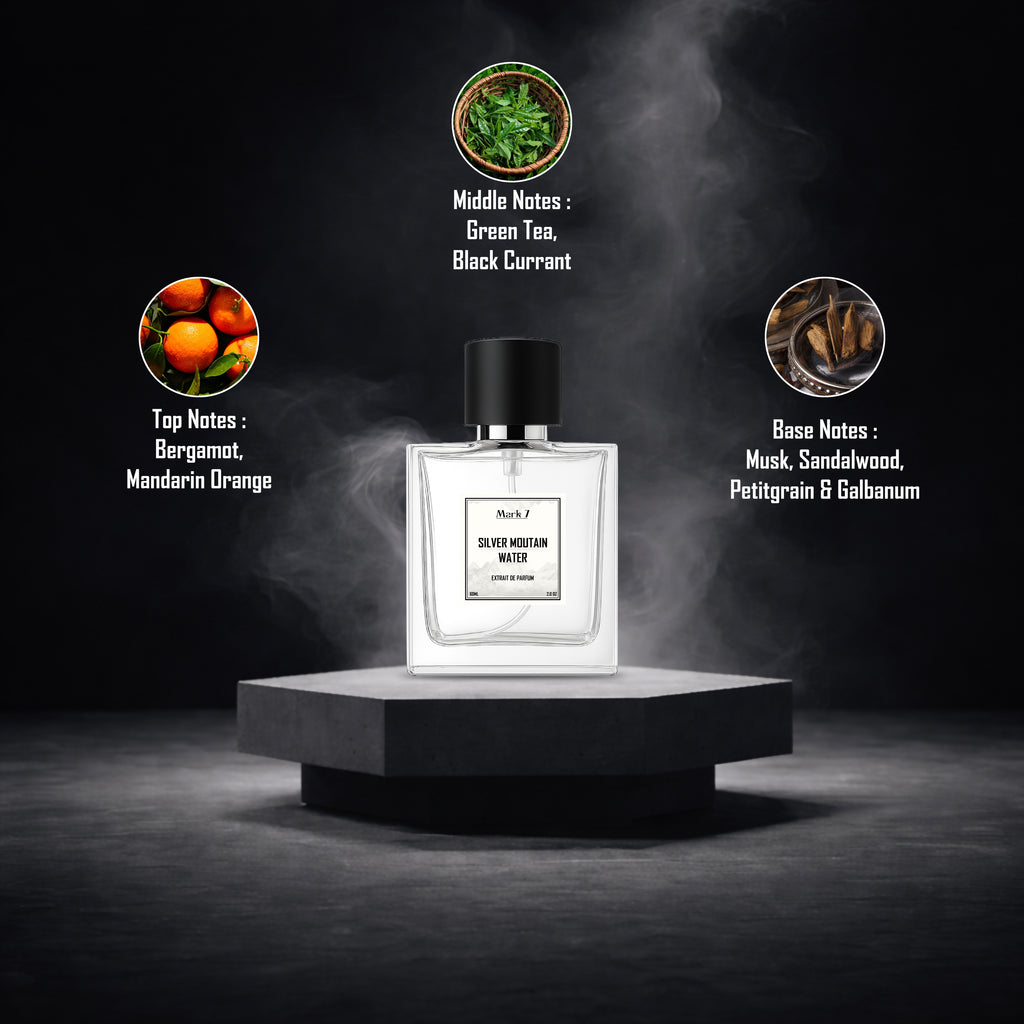 Silver Mountain Water